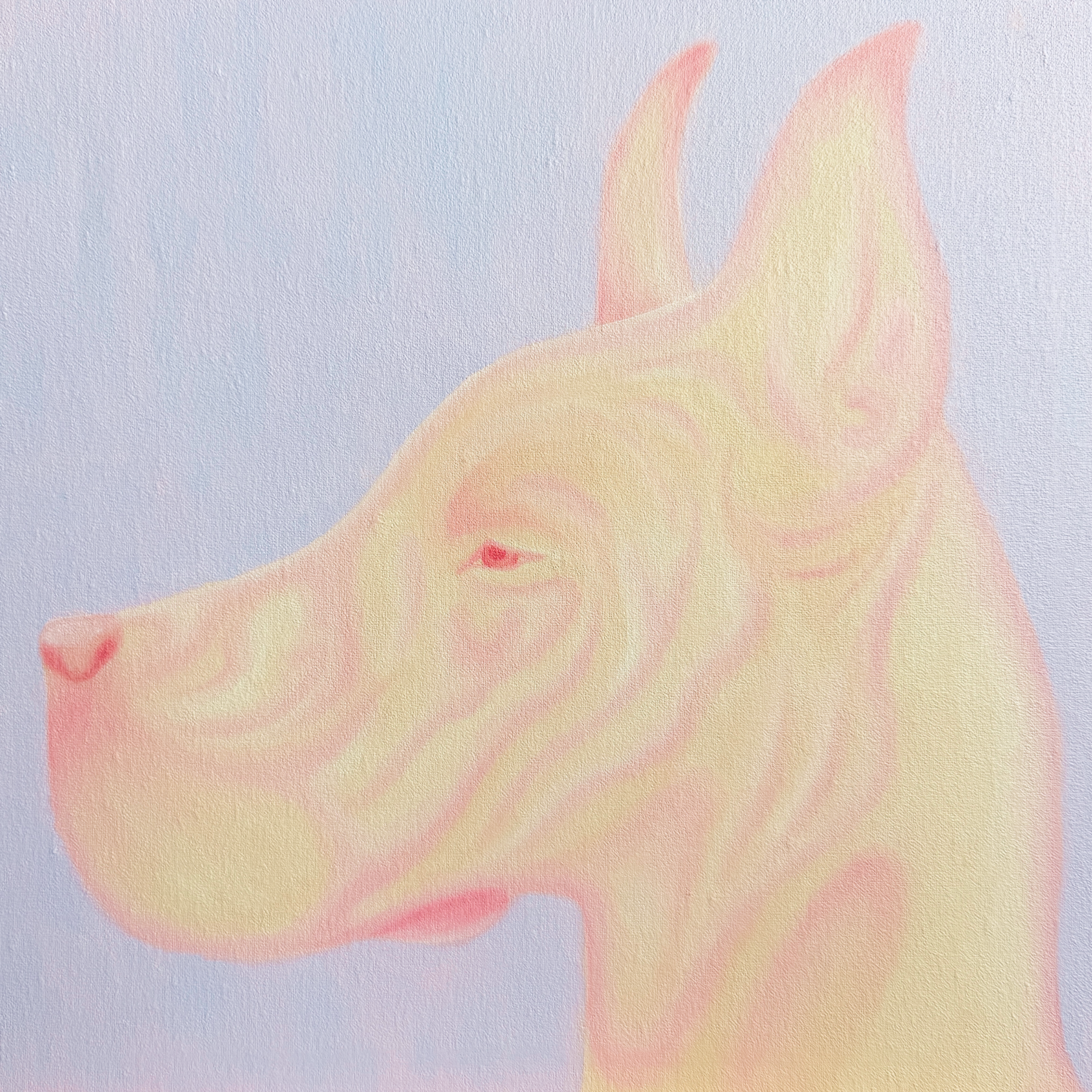 Голова собаки в профиль с заостренными ушами и вытянутой мордой, выполненная в светлых желтых и розовых тонах на светло-голубом фоне, масло, холст, 30 на 30 см