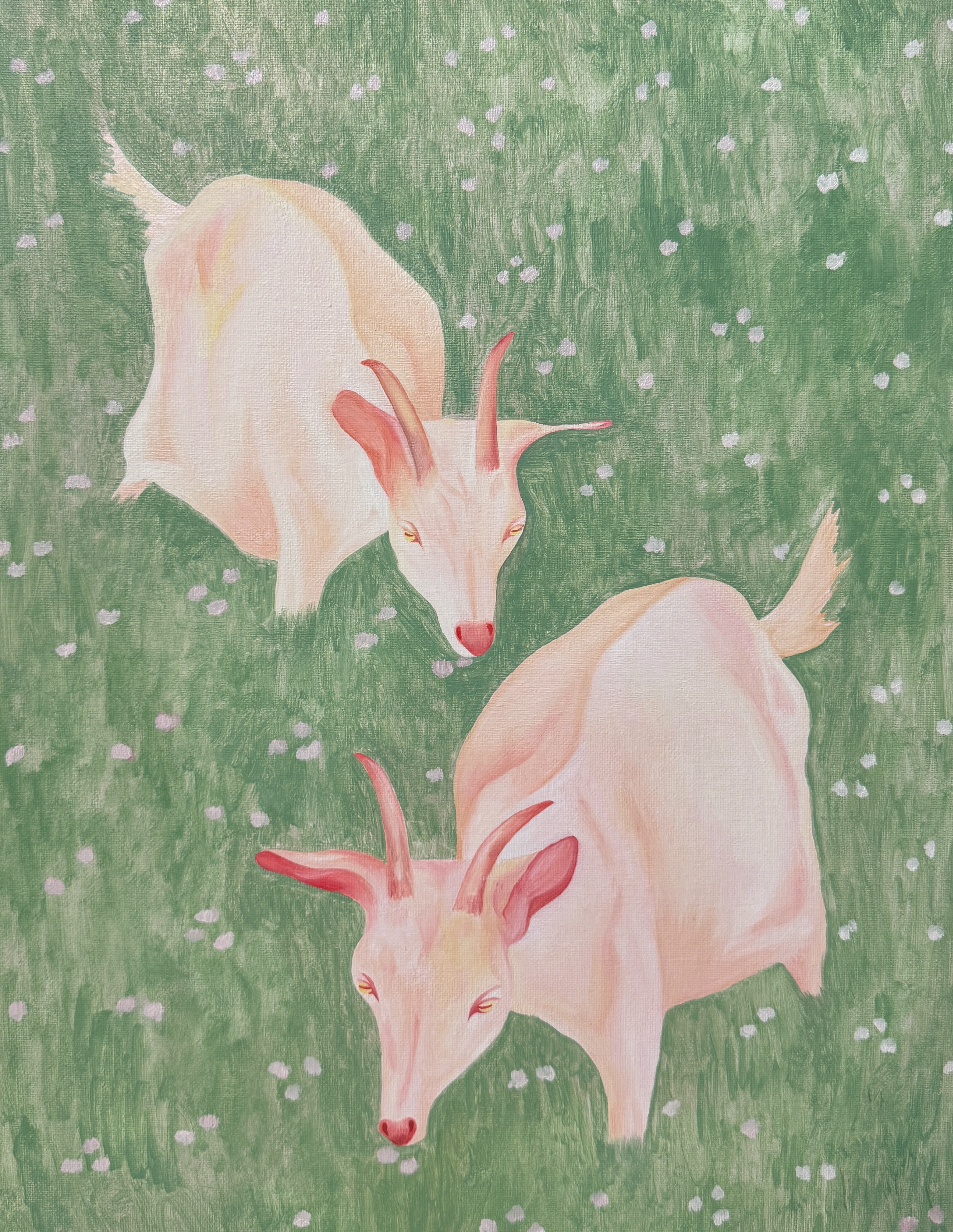 картина маслом на картоне 35 × 45 см изображает двух белых коз на зеленом лугу с мелкими цветами