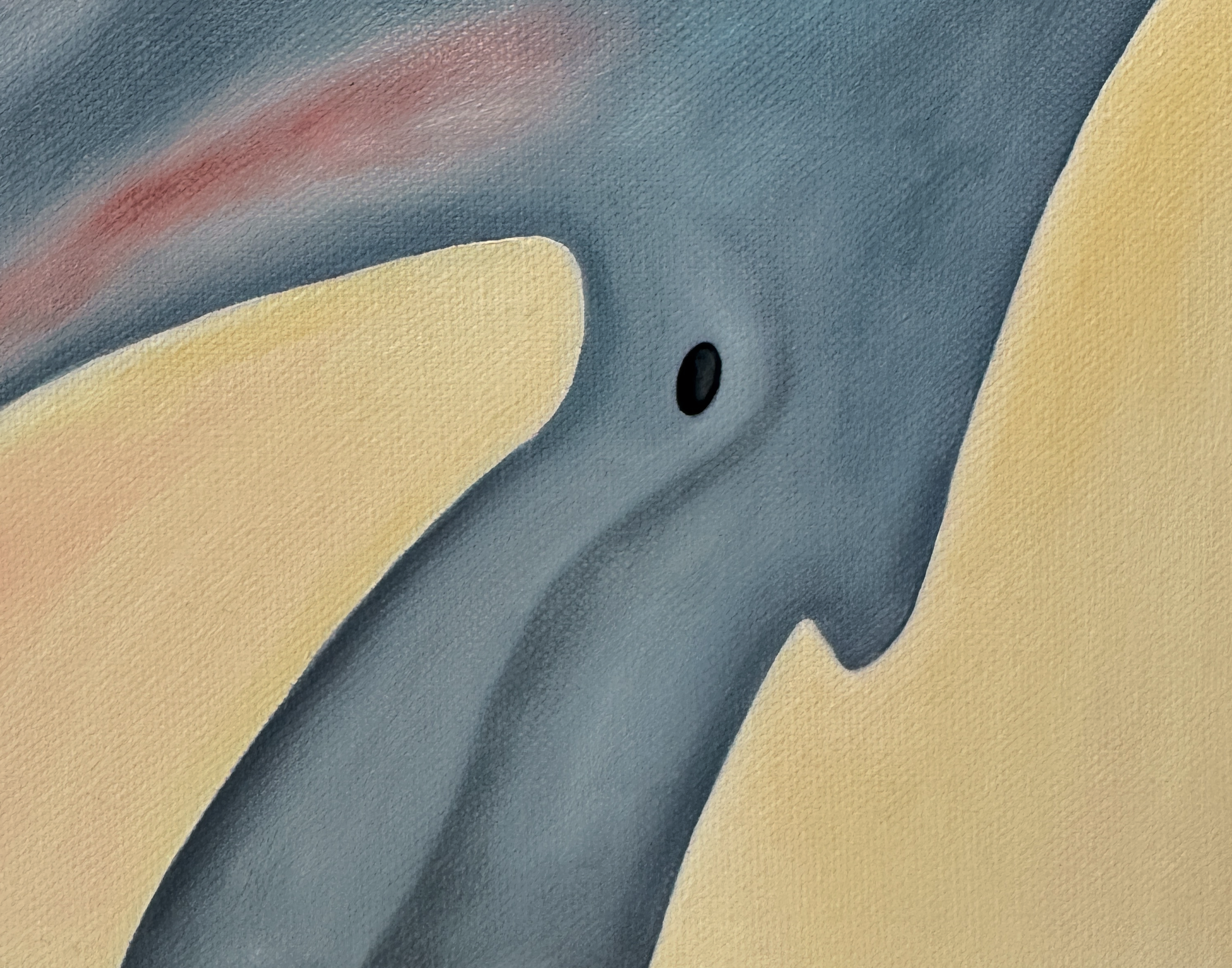 Фрагмент картины маслом на холсте изображает часть головы косатки с черным овальным глазом на фоне светлых желтых и розовых участков