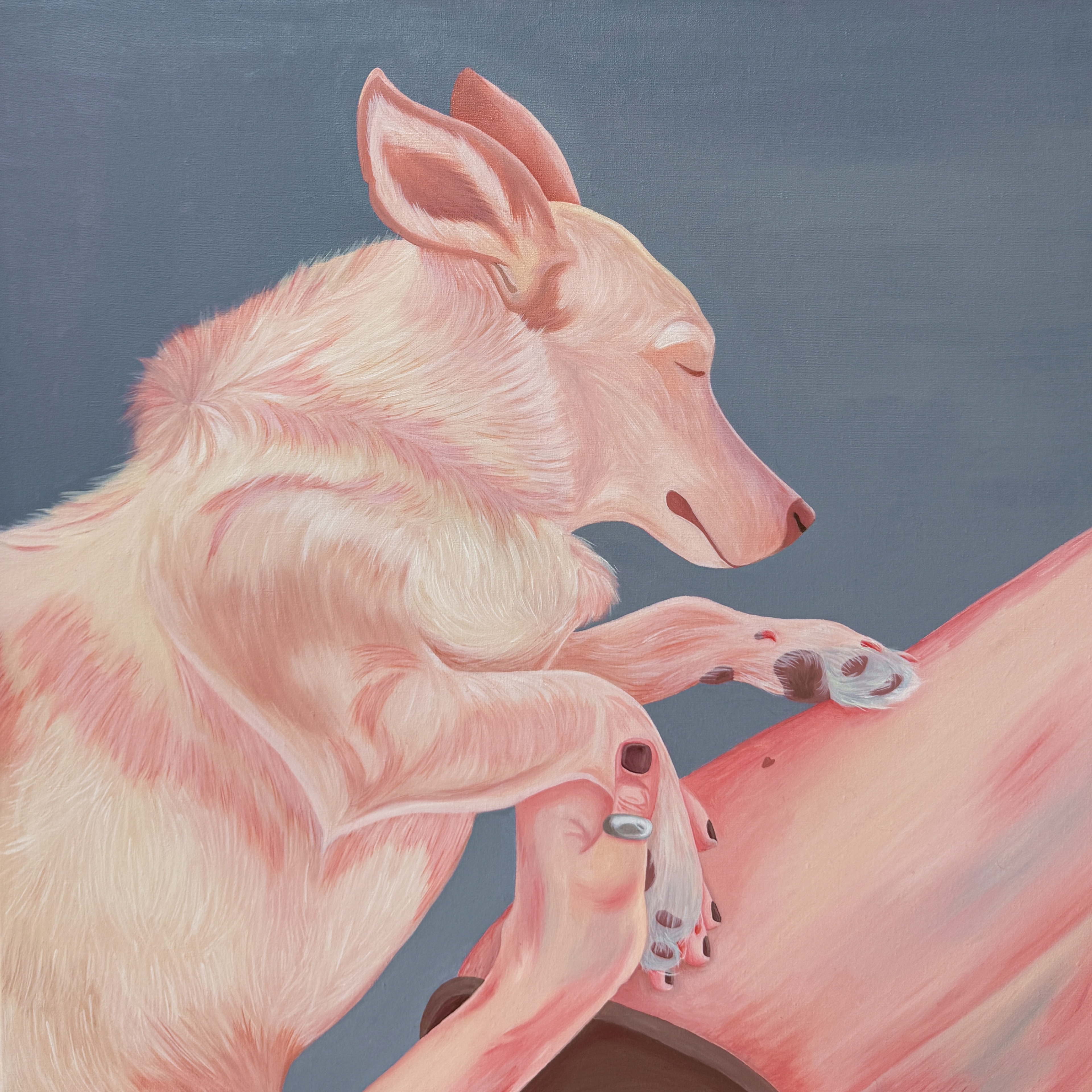 Собака светло-розового оттенка с закрытыми глазами опирается лапой на руку человека, на пальце которого кольцо, на серо-голубом фоне, выполнено маслом на холсте размером 50 на 50 сантиметров
