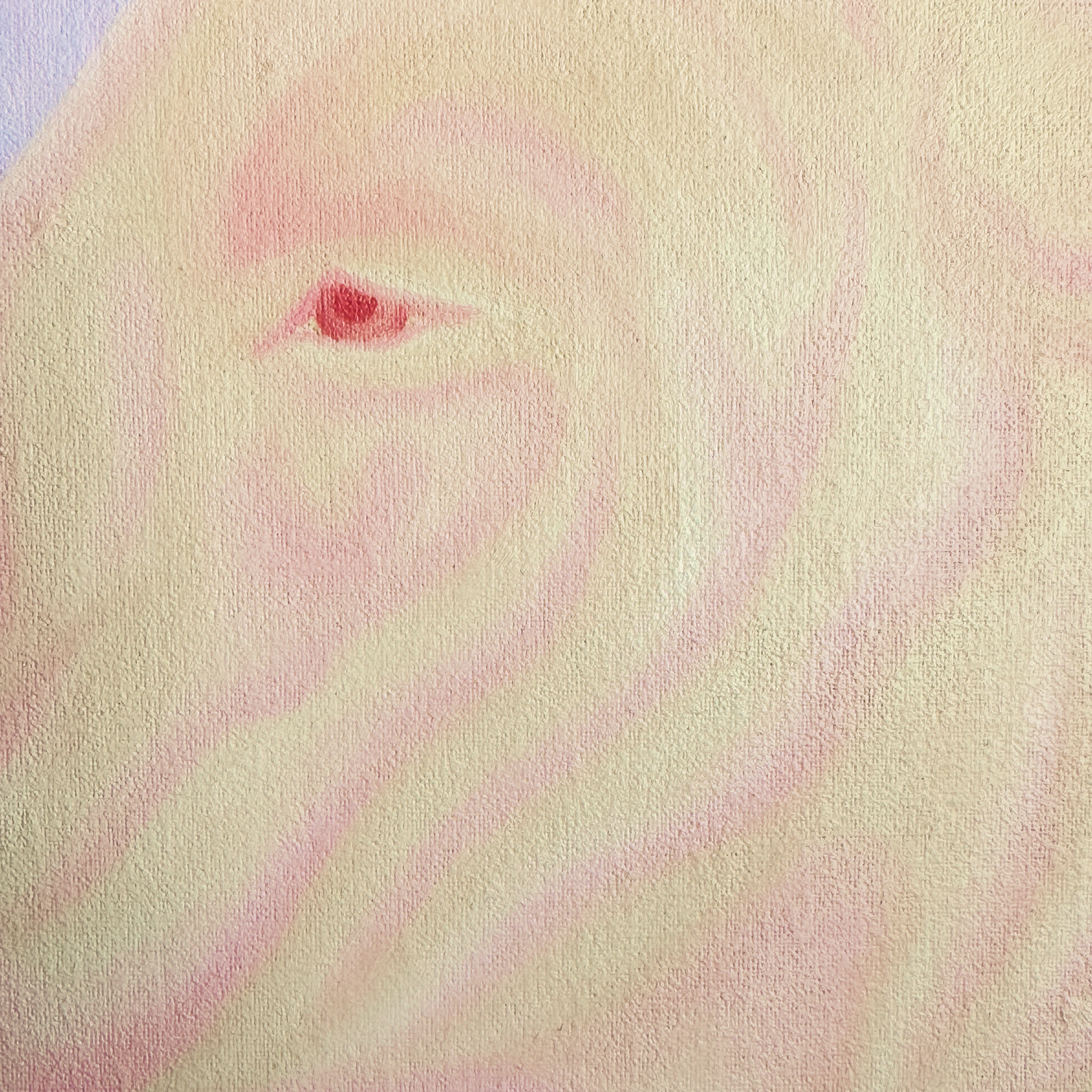 злая собака #8