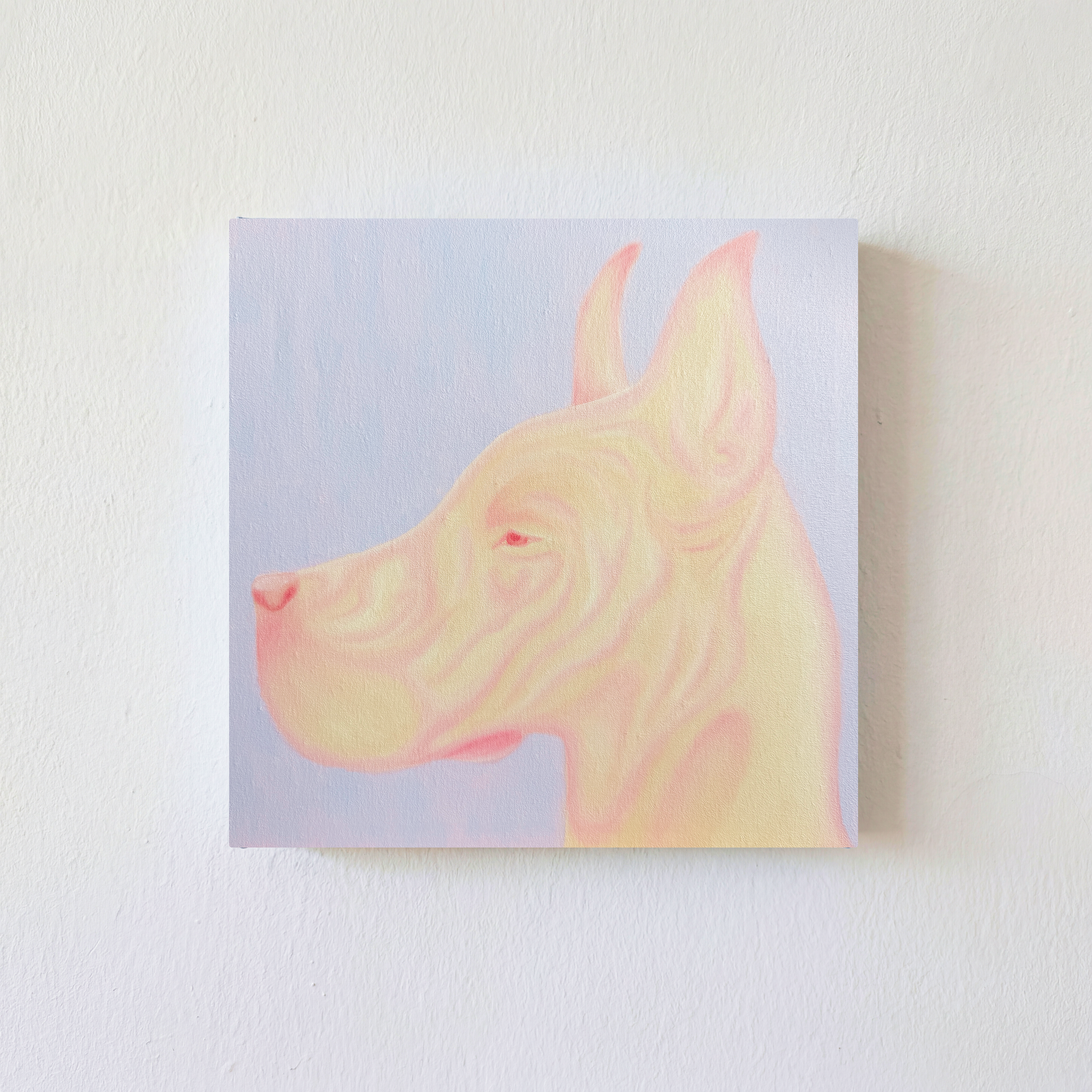 злая собака #8