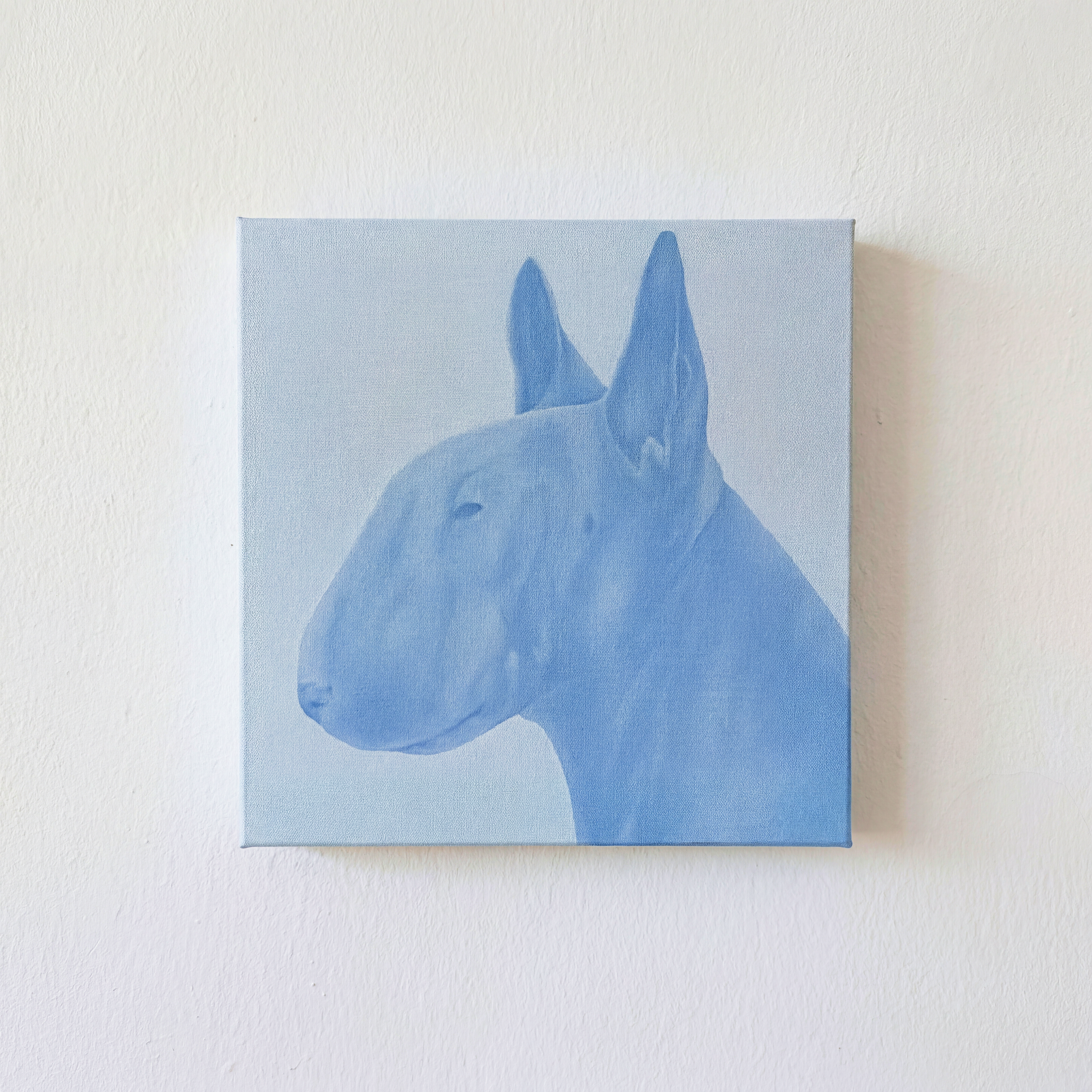 злая собака #7