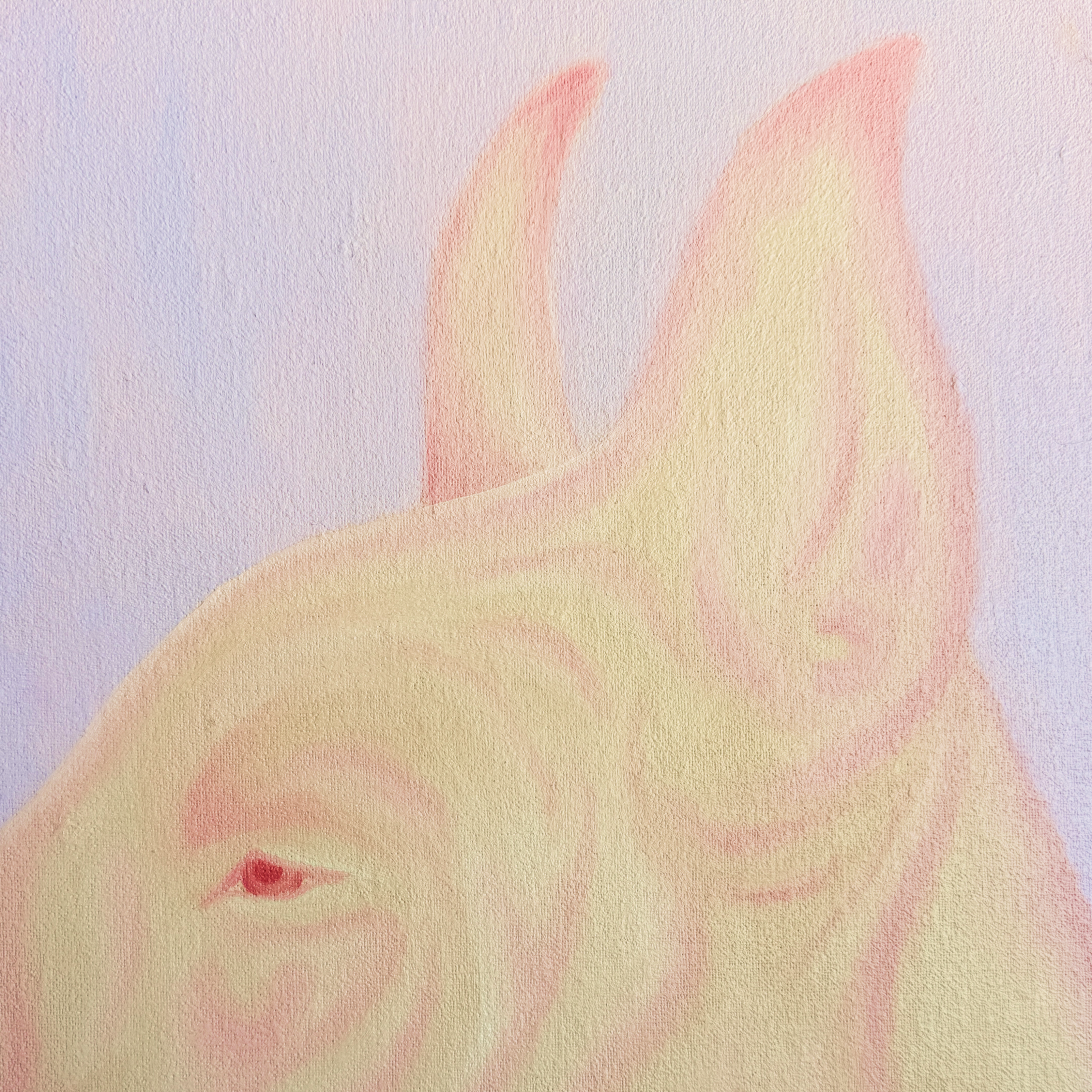 злая собака #8